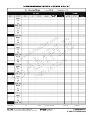 Briggs Healthcare Comprehensive Intake and Output Record | Output Record